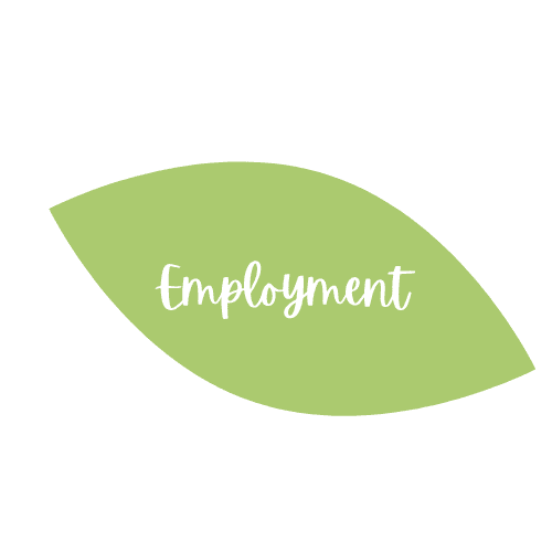 Employment - Sauer Health Care