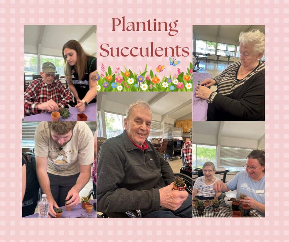 Nhw 2026 Planting Succulents Post Nhw 2026 Planting Succulents Post - Sauer Health Care