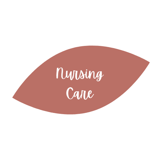Nursing Leaf - Sauer Health Care